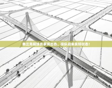 弗兰克福球员表现出色，球队迎来良好状态！