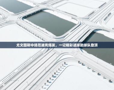 尤文图斯中场范迪克爆发，一记精彩进球助球队登顶