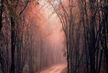 联赛赛制调整，球员备战增添挑战