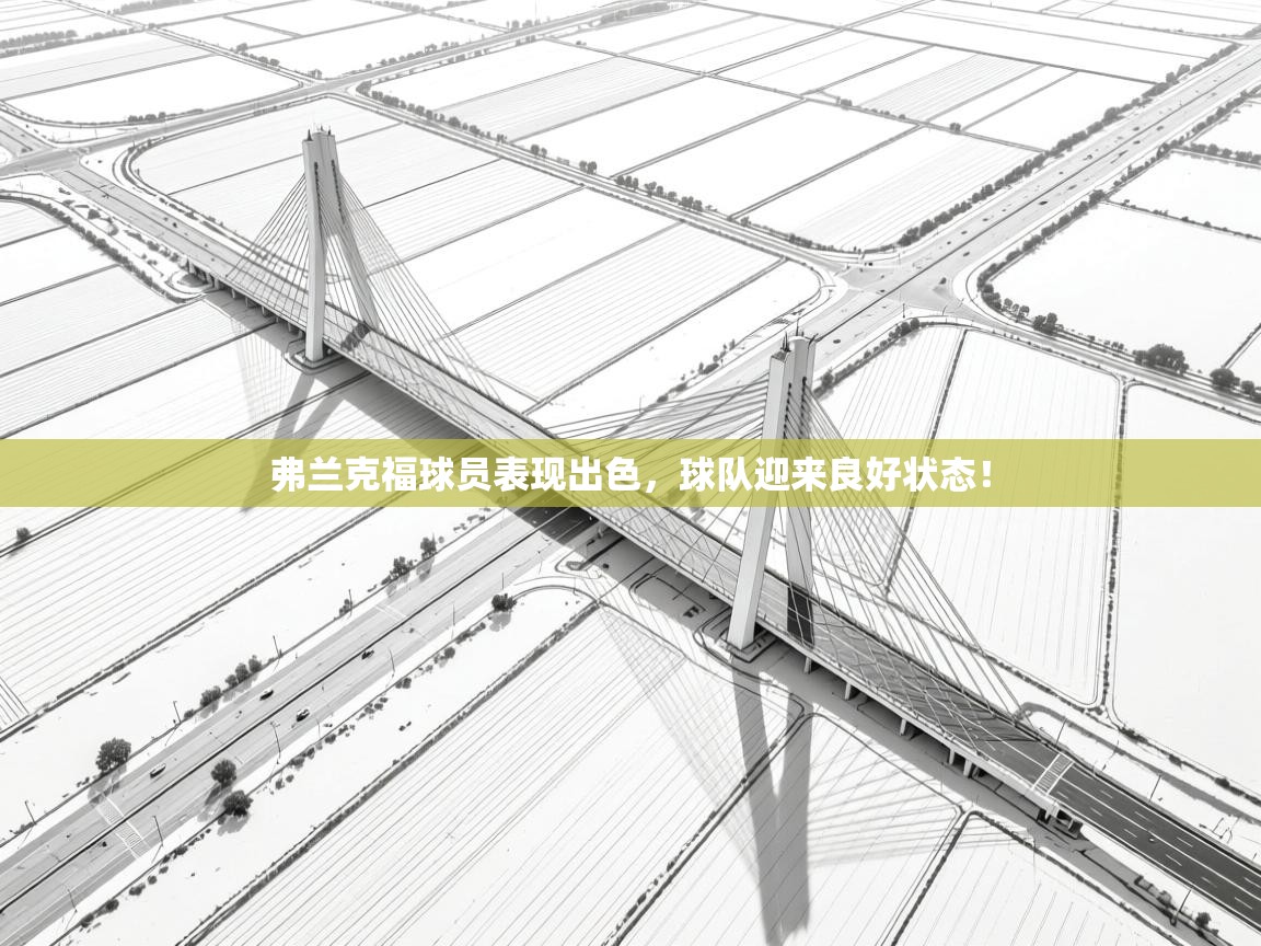 弗兰克福球员表现出色,球队迎来良好状态! 第1张