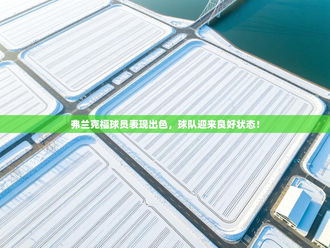 弗兰克福球员表现出色,球队迎来良好状态! 第2张