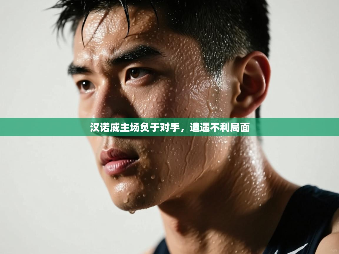 汉诺威主场负于对手，遭遇不利局面  第2张