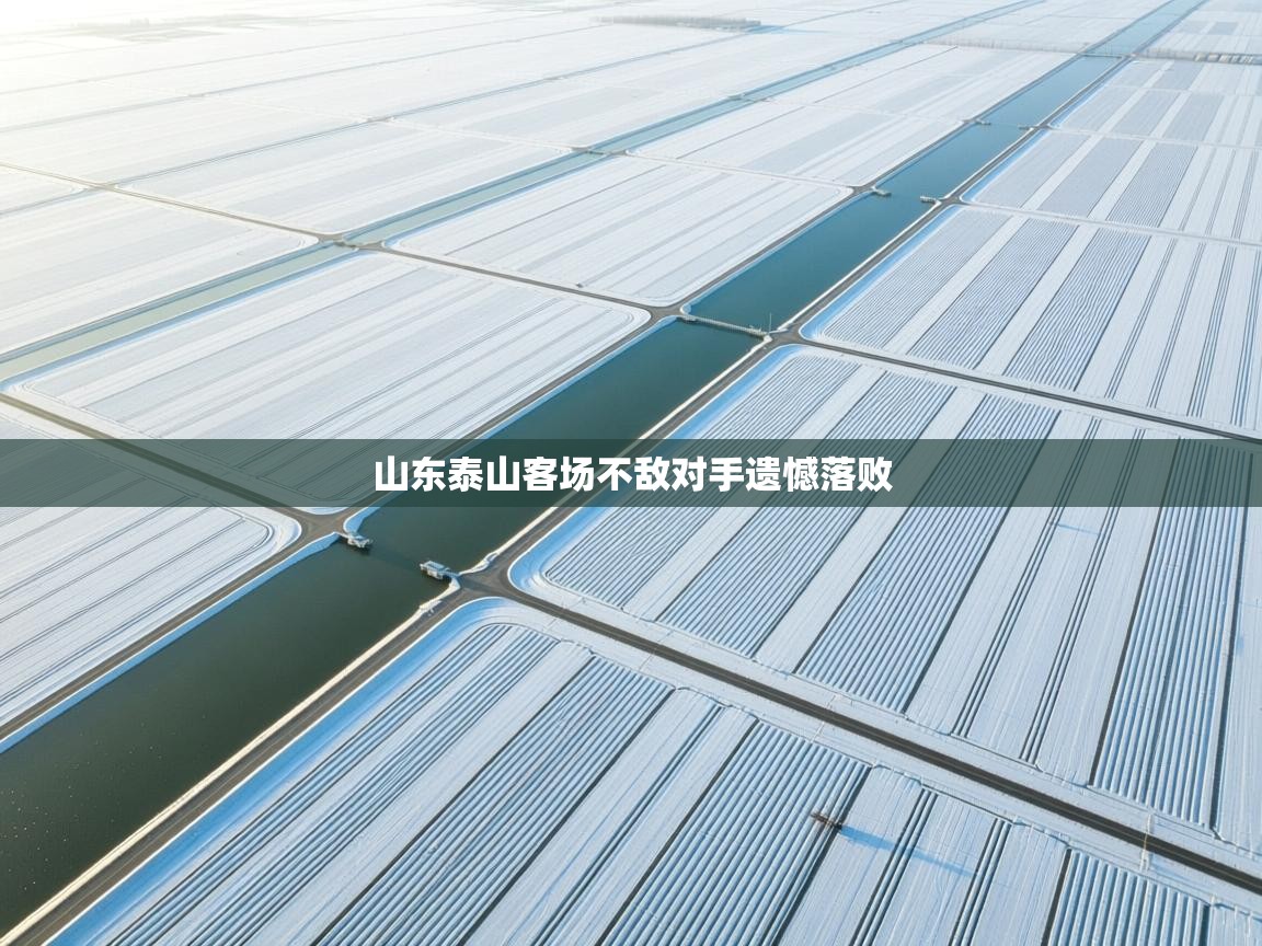 山东泰山客场不敌对手遗憾落败 第1张