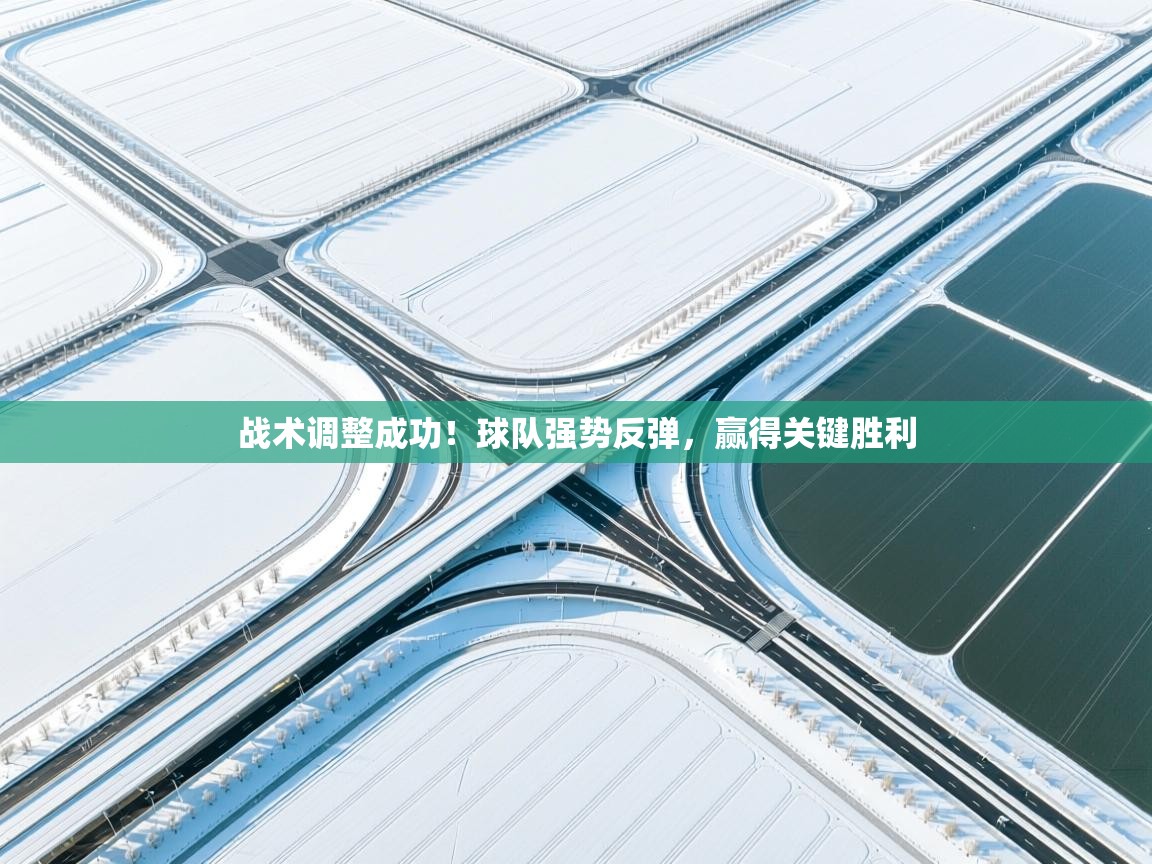 战术调整成功！球队强势反弹，赢得关键胜利  第1张
