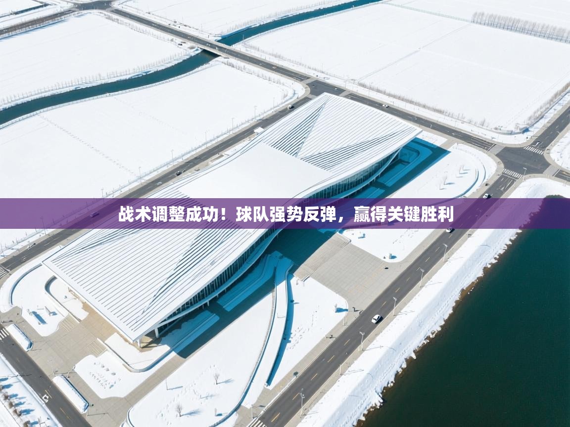 战术调整成功！球队强势反弹，赢得关键胜利  第2张